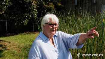 Hidden waterways beneath Toronto could help transform its future