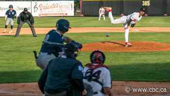 Thunder Bay Border Cats set for 2024 Northwoods League season