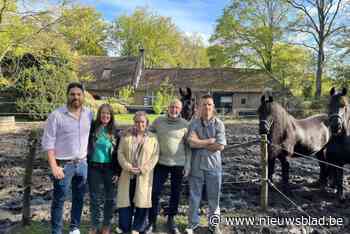 Leiderschap boosten op Swaenhoeve met ervaren trainers, lekker eten, Friese paarden en overnachting in unieke lodges