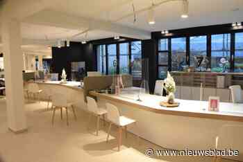 Samenvattingen maken, sneller zaken opzoeken of administratie verlichten: Halle onderzoekt of artificiële intelligentie dienstverlening kan verbeteren