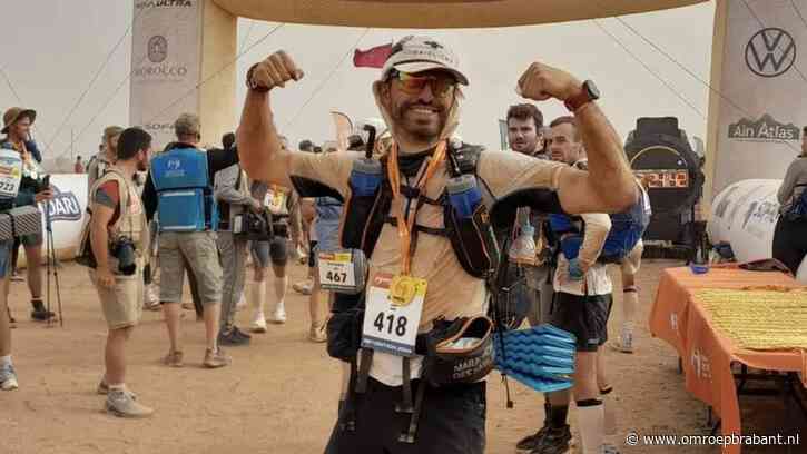 Björn rent 252 kilometer door de woestijn: 'Gestruikeld over dode kameel'