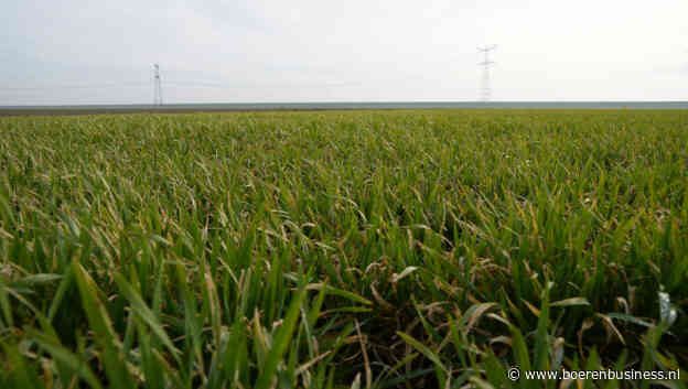 Natte winter niet te zien in Europese opbrengstraming