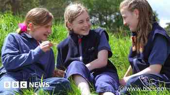 Bid to make girl guides centre a community hub