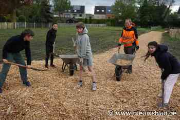 “Ik wil een eigen groentetuin”: Michaëlschool start tuinbouwproject op recent aangekochte bouwgronden