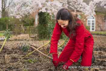 Ecologisch ervaringspark en landbouwbedrijf op kasteeldomein Smissenbroek: “Mensen terug in verbinding brengen met de natuur en landbouw”