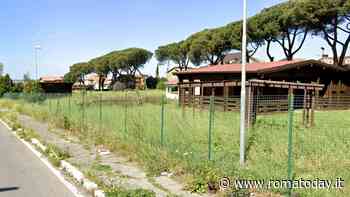 Il “vivaio municipale” resta chiuso: era stato riqualificato con quasi 200mila euro