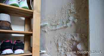 Wates launches service to fix mouldy social homes