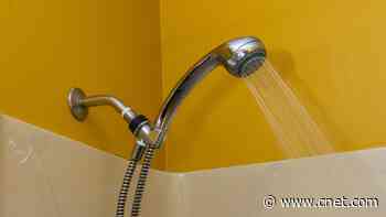 Your Shower Head Is Probably Super Gross. Here's How to Clean It     - CNET