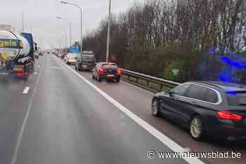 N-VA-afdelingen van Lokeren en Zele trekken naar gemeenteraad met oplossingen voor files op afrit van E17 in Lokeren: “Huidige situatie is levensgevaarlijk”