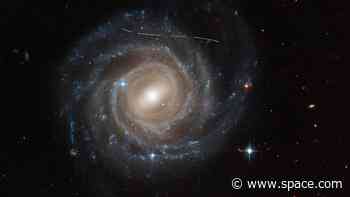 Citizen scientists spot more than 1,000 new asteroids in old Hubble Telescope photos