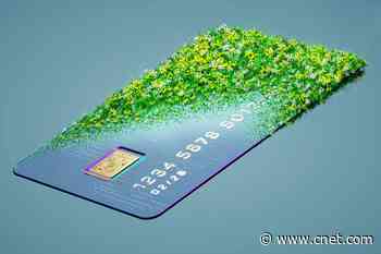 Earn 6% Cash Back While Helping the Planet     - CNET