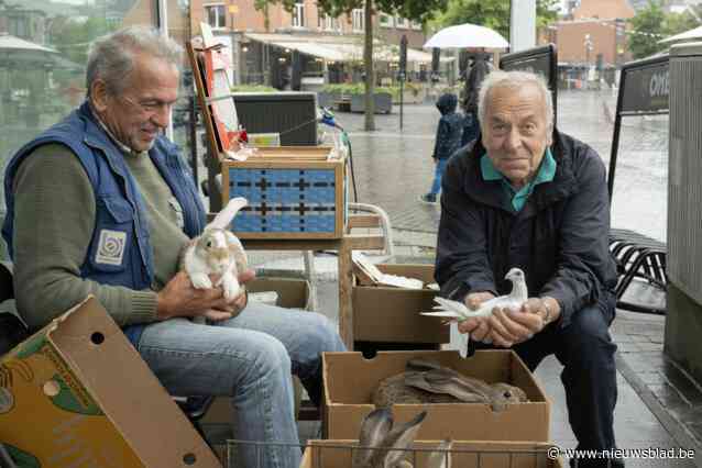 Mollenaren reageren teleurgesteld op besluit over dierenmarkt: “Dat de verjaardag ook meteen een afscheid wordt, is verschrikkelijk”