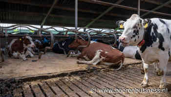 Chaotische fosfaathandel in aanloop Kamerdebat