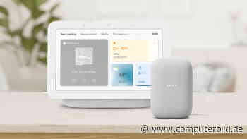 Bringt Google zwei neue Nest-Geräte heraus?