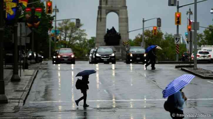 As treaty talks continue, new report predicts clouds with a 100% chance of plastic