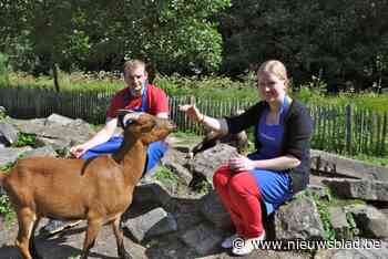 Ecotuinendag op de Kinderboerderij: inhuldiging ‘bijenburcht’