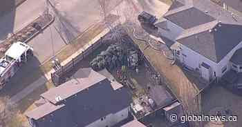 Vehicle flips, hits large tree, ends up in Sherwood Park backyard