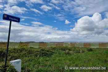 Borsbeek wil Vliegveldweg niet laten afschaffen voor luchthaven, voetweg die in 1948 verdween mag wel geschrapt worden