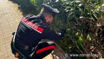 Gli arresti non fermano le piazze di spaccio, al Quarticciolo assoldati pusher ragazzini