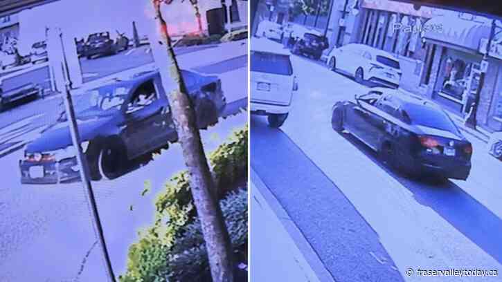 Mission RCMP investigating paintballs shot at pedestrians; one person was hit in the head