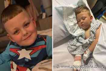 Northumberland dog attack boy's 'childhood has been taken away' as he's still terrified of animals six months on