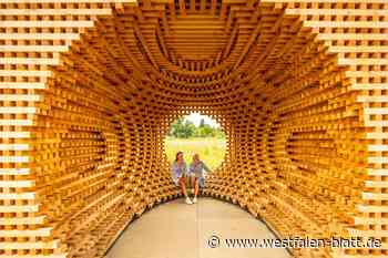 Forderung: Auflösung der Huxarium gGmbH Thema im Rat Höxter