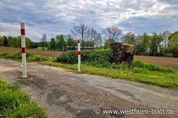 Etliche Radwegpoller müssen weg - ADFC: „Sie sind sehr gefährlich“