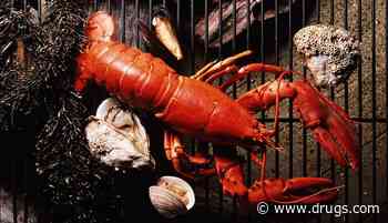 Seafood Consumption Tied to 'Forever Chemical' Exposure Risk