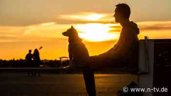 Mentales Wohlbefinden: Mit kleinen Gewohnheiten zu einem besseren Lebensgefühl