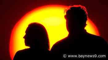 More than 1 in 4 U.S. adults over age 50 say they expect to never retire, an AARP study finds