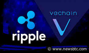 Analyst Singles Out VeChain And XRP For Parabolic Surge, Here Are The Targets