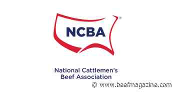 NCBA offers fall semester internships for public policy, meetings and events