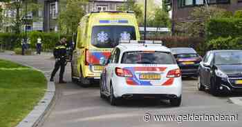 Bredase vrouw (20) met gebiedsverbod steekt boa met mes, burgemeester Depla reageert: ‘Heftig bericht’