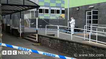 Girl arrested after teachers and pupil injured in school stabbing