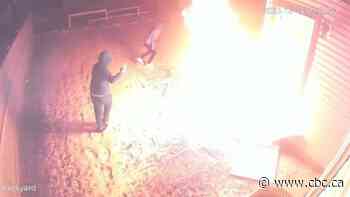 Police seeing no further extortion of South Asian businesses as investigation continues