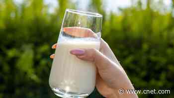 Evidence of Bird Flu Found in Pasteurized Milk. Here's What That Means     - CNET