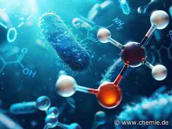 Bakterien für klimaneutrale Chemikalien der Zukunft