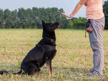 Customer Service Training: 8 Strategies to Empower Your Team