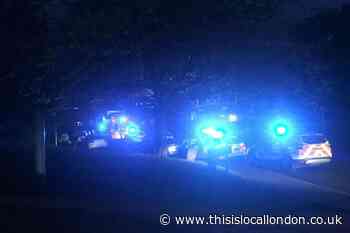 Chelsfield Orpington train station: Major emergency services presence
