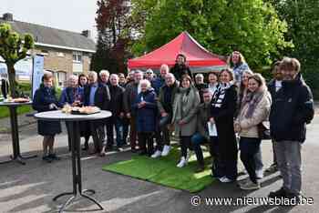 Inwoners Europawijk en Kouter stapje dichter bij toekomstbestendige wijk: “Twee ideeën zijn al heel concreet”
