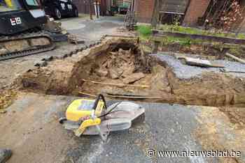 Koedriesstraat in Kaulille afgesloten na waterlek: enkele straten zonder drinkwater
