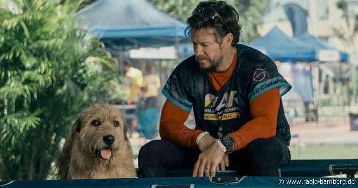 Mark Wahlberg rennt mit dem Hund durch den Dschungel