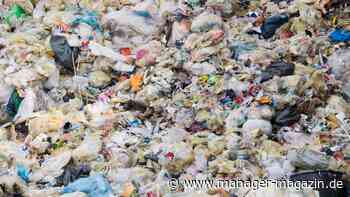 Coca-Cola und Co: 56 Großkonzerne sind für die Hälfte des weltweiten Plastikmülls verantwortlich