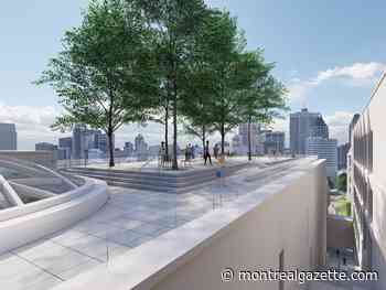 McGill expansion will create new downtown lookout, Mount Royal access