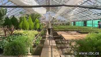 Thousands of plants blooming in tucked-away greenhouse will soon cover Wascana gardens, Government House