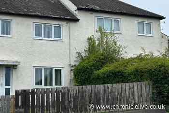 Man arrested after allegedly throwing tiles from Newcastle property during rooftop stand-off with police