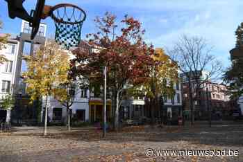 Buurtfeest Buurt Mee op Sint-Andriesplaats inspireert jong en oud om evenement te organiseren in eigen straat of buurt
