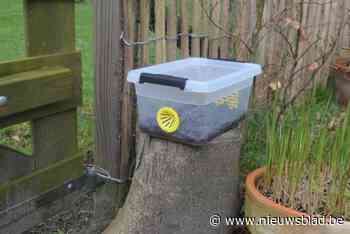 Wuustwezel deelt gratis vallen uit om Aziatische hoornaar te vangen en te elimineren