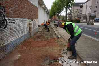 Vliegende Mieren helpen Meer Groen in de Stad: “Het werk is wel zwaarder dan gedacht”