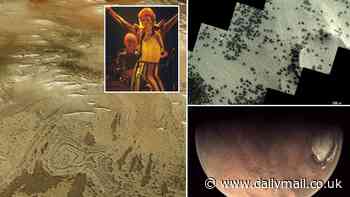 David Bowie was right - there are spiders on Mars! European Space Agency's spacecrafts snap mysterious arachnid shapes on the Red Planet